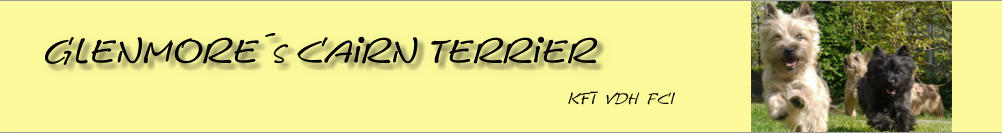 Glenmore´s Cairn Terrier Kft  VDH  FCI